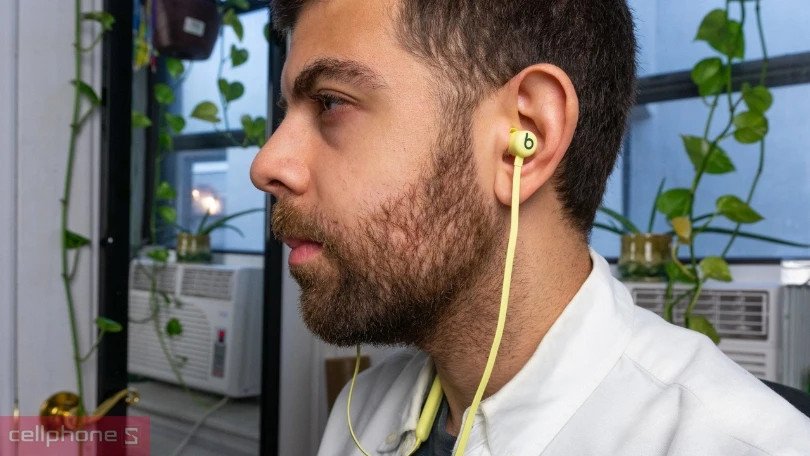 Beats Flex
