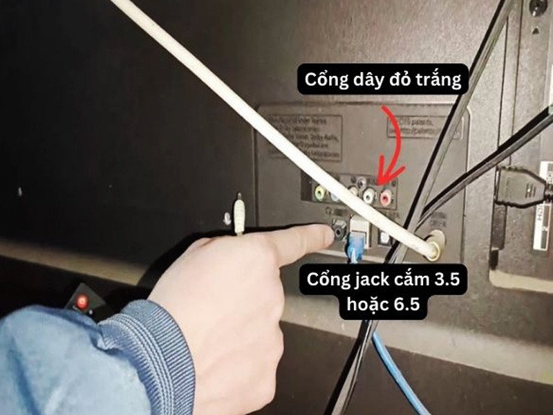 Cắm dây AV vào cổng Audio Out của tivi