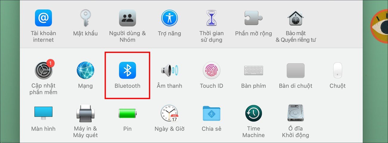 Chọn Bluetooth và bật lên trong Tùy chọn Hệ thống của MacBook