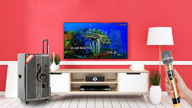 Hệ thống âm thanh karaoke chất lượng cao tại nhà