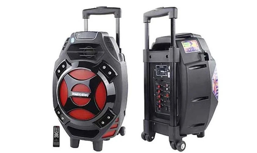 Loa karaoke bluetooth mini Temeisheng với thiết kế hiện đại