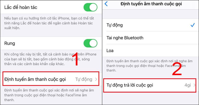 Màn hình lựa chọn Định tuyến âm thanh cuộc gọi trên iPhone