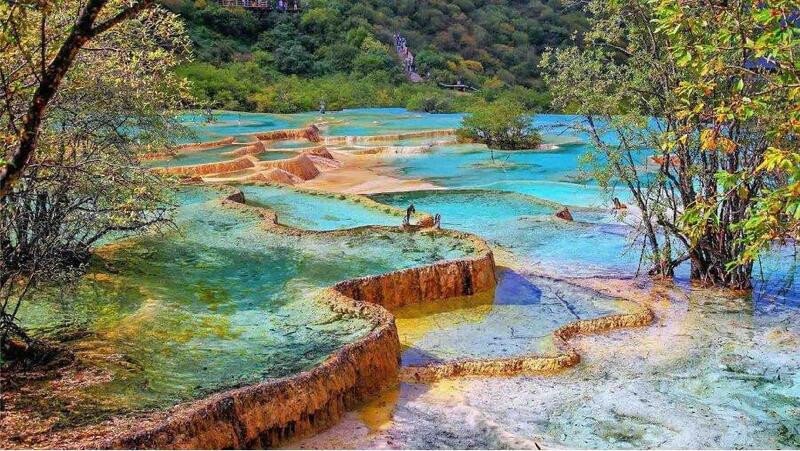 Ảnh đẹp làm nền máy tính với rừng cây soi bóng xuống mặt nước