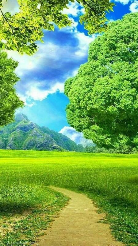Ảnh nền điện thoại phong cảnh đẹp với con đường mùa hè