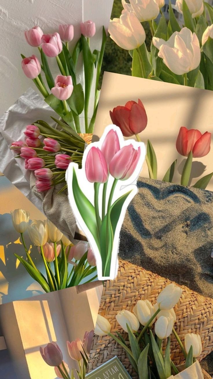 Ảnh nền hoa tulip dễ thương chất lượng cao