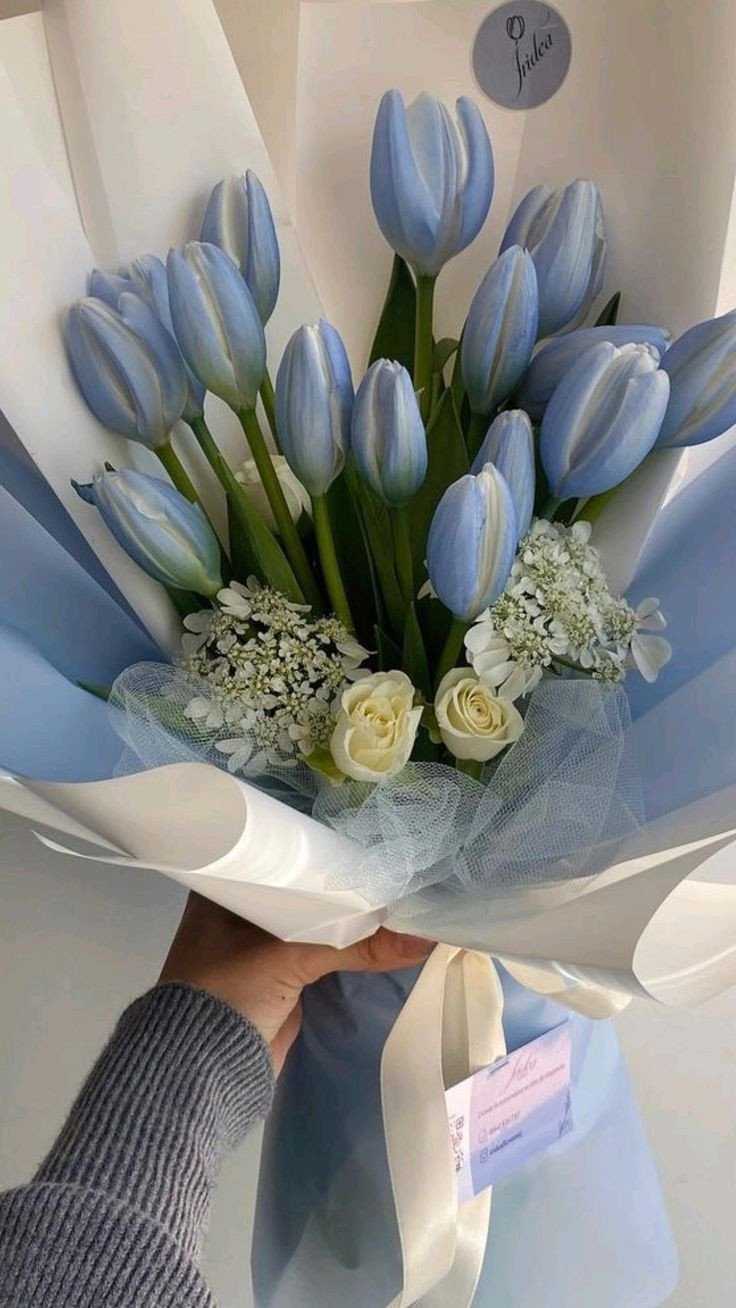 Ảnh nền hoa tulip xanh dương cho máy tính