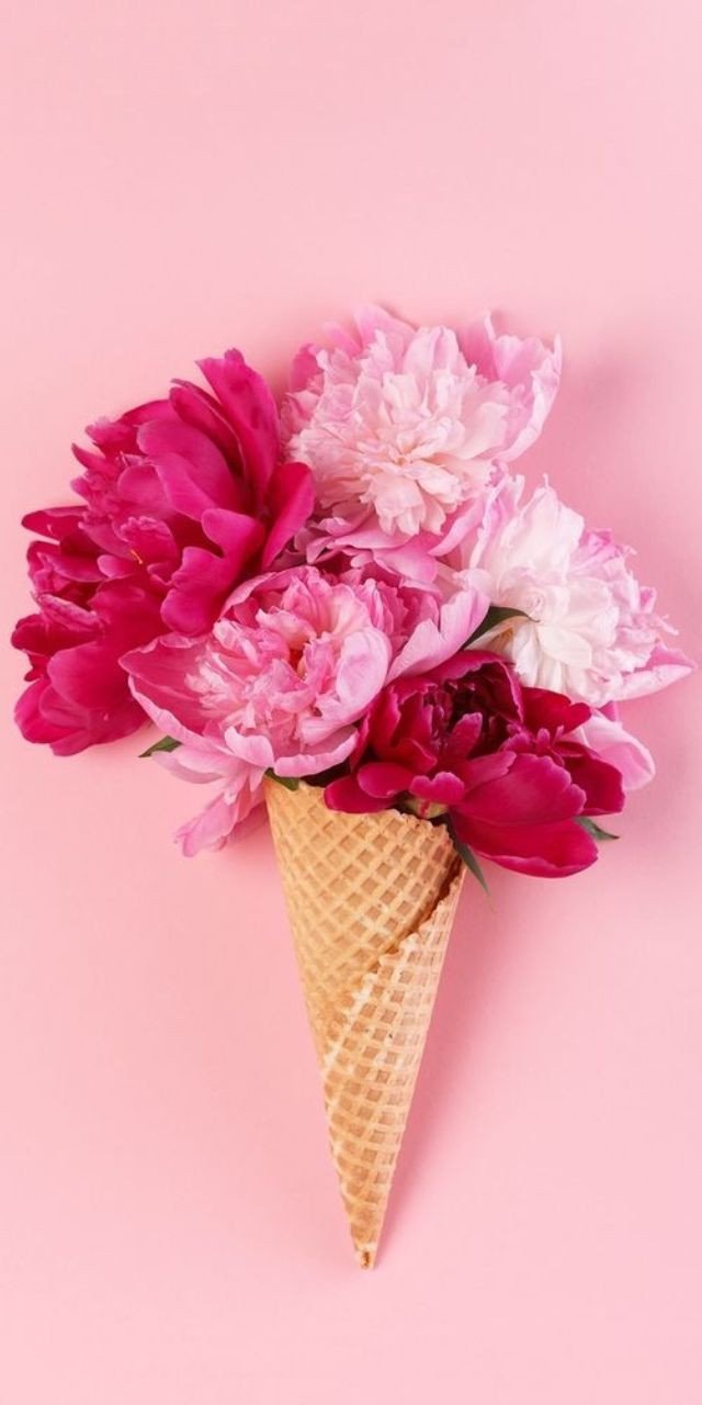 ảnh nền laptop hồng pastel với hoa anh đào nở rộ