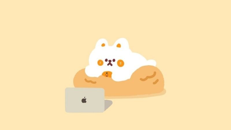 Background laptop đẹp với gấu trúc dễ thương