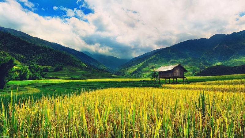 Background laptop phong cảnh đẹp với ngôi nhà cổ kính giữa làng