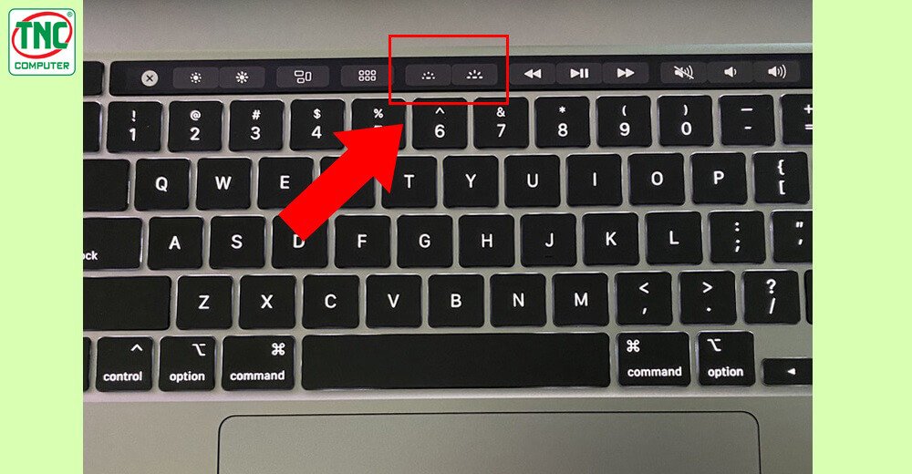 Bàn phím của một chiếc Macbook, nhấn mạnh các phím F5, F6 để bật hoặc tắt đèn bàn phím Macbook.
