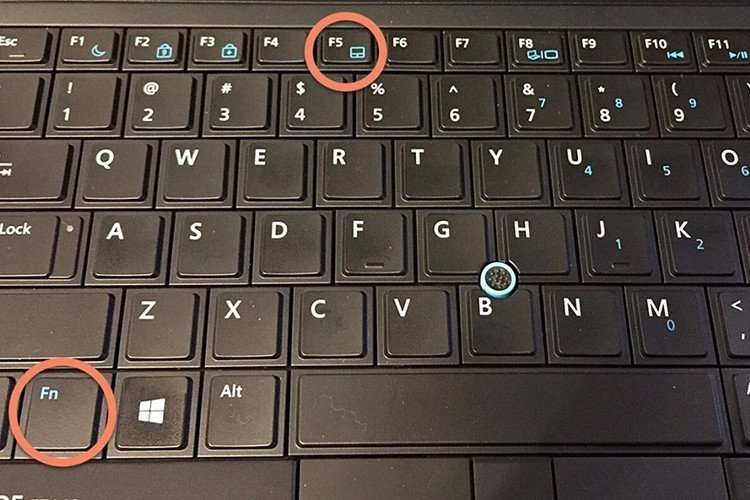 Bàn phím laptop với ngón tay nhấn tổ hợp phím Fn + F5/F6 để kích hoạt hoặc tắt chuột cảm ứng
