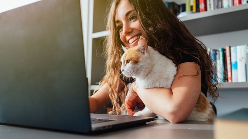 Bảo vệ laptop khỏi trẻ nhỏ và thú cưng