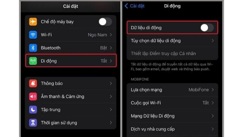 Bật Dữ liệu di động trong cài đặt iPhone