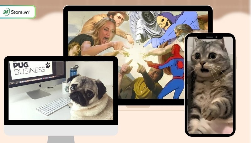 Bộ ảnh nền hài hước cho máy tính, điện thoại, laptop