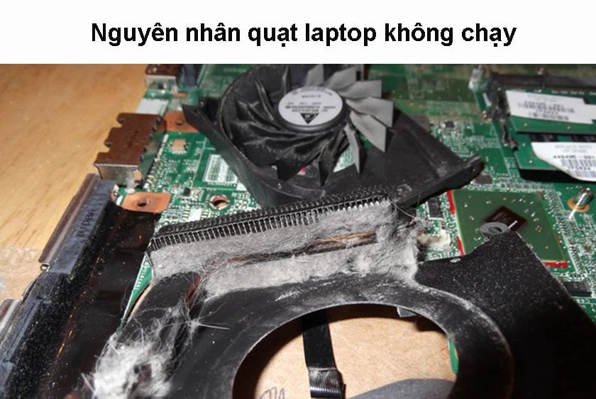 Bụi bẩn tích tụ là nguyên nhân phổ biến khiến quạt laptop Dell không chạy