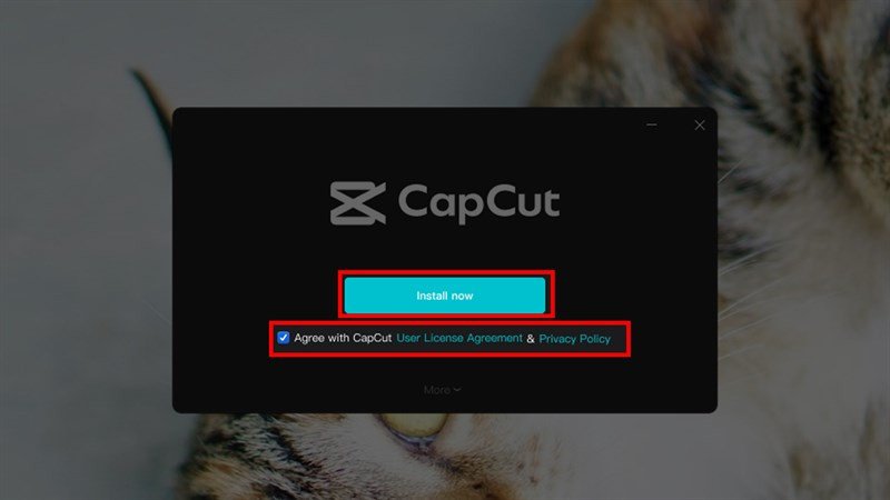 Các bước cài đặt CapCut trên máy tính, nhấn Install now