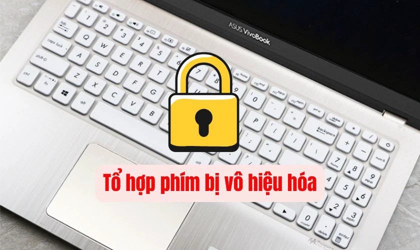 Các nguyên nhân khiến người dùng không thể kích hoạt đèn bàn phím trên Asus Vivobook