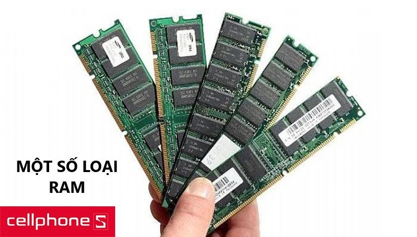 Các thanh RAM laptop từ nhiều thương hiệu uy tín như G.Skill, Adata, thể hiện sự đa dạng lựa chọn