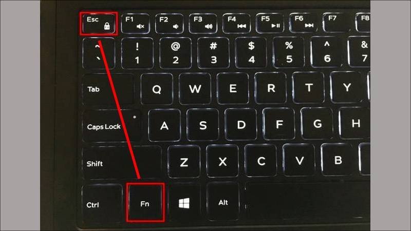 Cách vô hiệu hóa phím Fn trên bàn phím laptop HP bằng tổ hợp Esc + Fn, giúp nút cố định trong Excel hoạt động.
