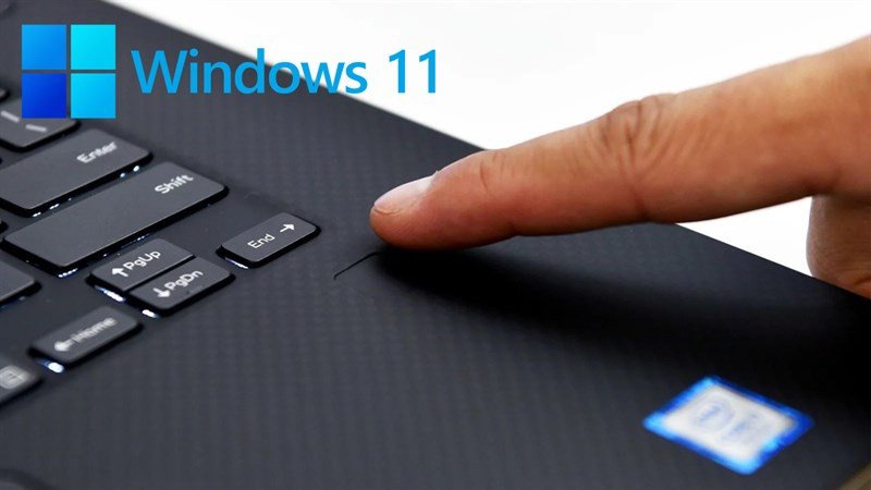 Cài đặt vân tay trên laptop HP Windows 11