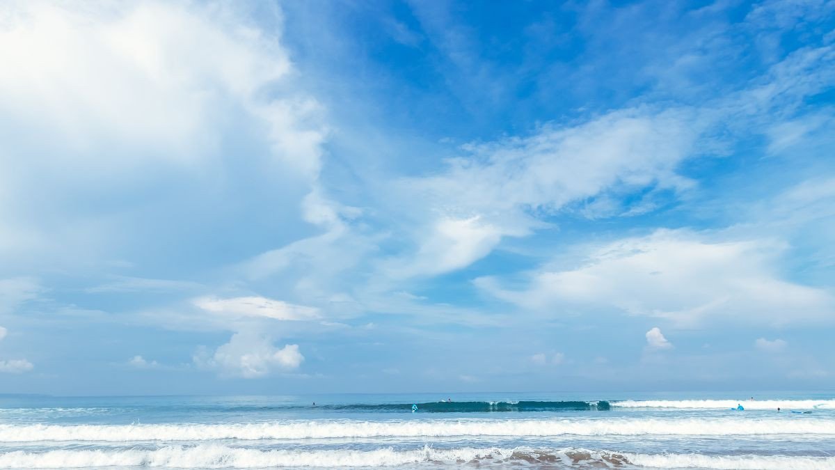 Cánh đồng xanh mướt với cây cối dưới ánh nắng dịu nhẹ, tạo hình nền thiên nhiên 4k thư thái