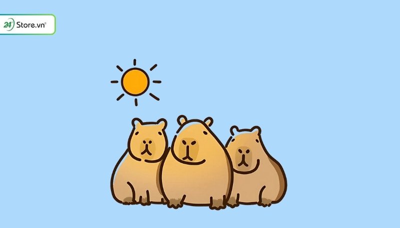 Capybara ngồi thư giãn nhắc nhở lưu ý tải ảnh