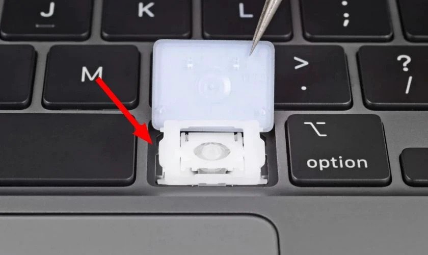 Chi tiết một nút bàn phím laptop, giải thích lý do không thể thay riêng lẻ