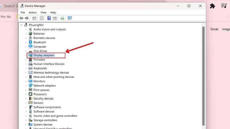 Chọn bộ điều hợp hiển thị trong Device Manager để kiểm tra driver