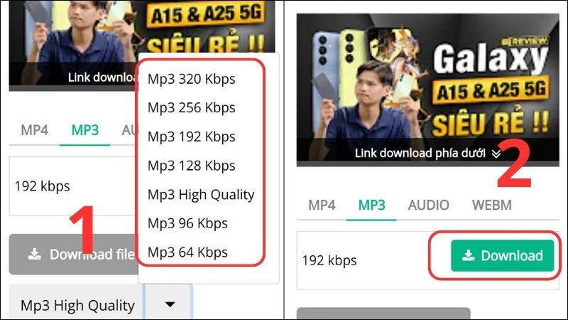 Chọn định dạng âm thanh và nhấn Download trên Ytop1.com