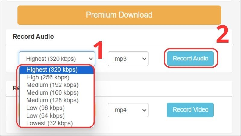 Chọn định dạng MP3 và nhấn Record Audio trên Dirpy