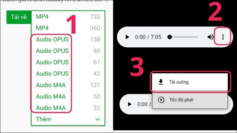 Chọn định dạng MP3 và tải xuống trên Savefrom.net