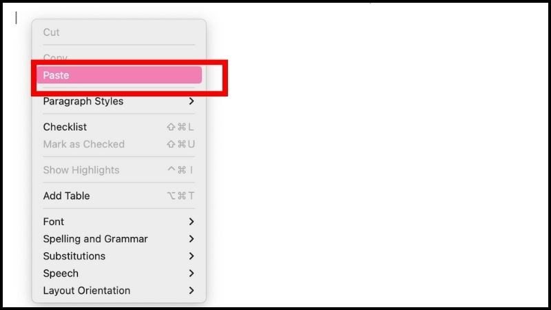 Chọn Paste để dán văn bản đã sao chép trên laptop MacBook
