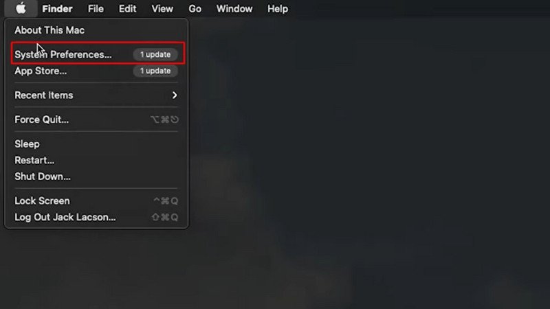 Chọn System Preferences ThinkPro