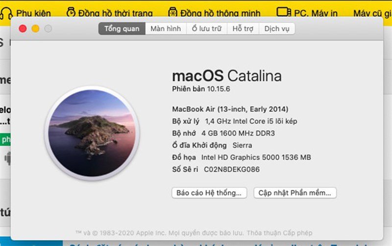 Cửa sổ About This Mac hiển thị tổng quan