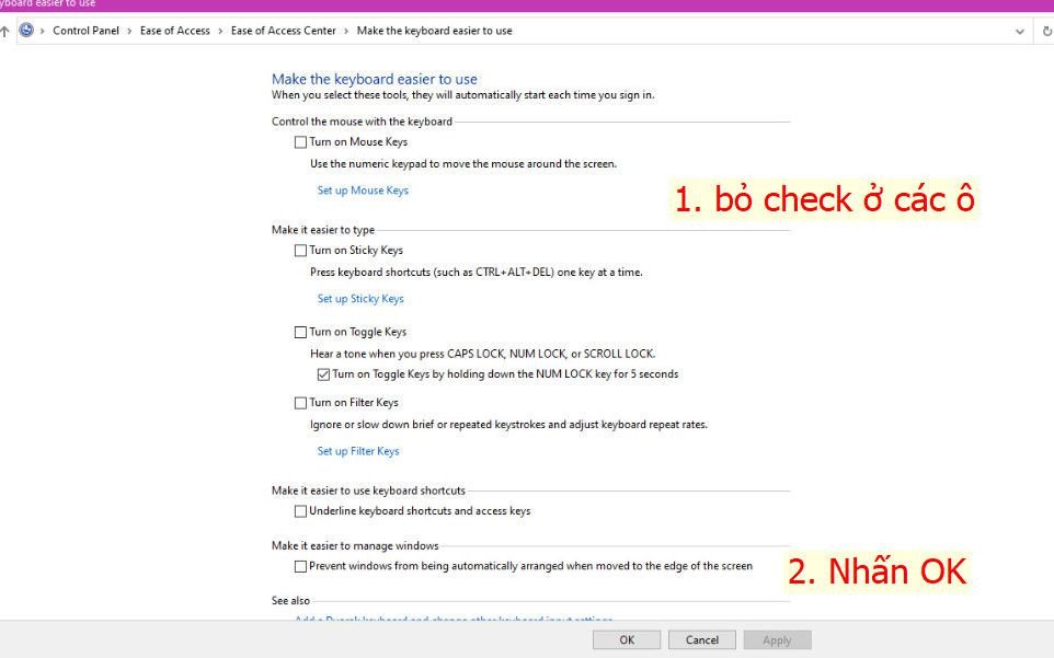 Cửa sổ cài đặt bàn phím với các hộp kiểm để bật/tắt tính năng như Filter Keys.