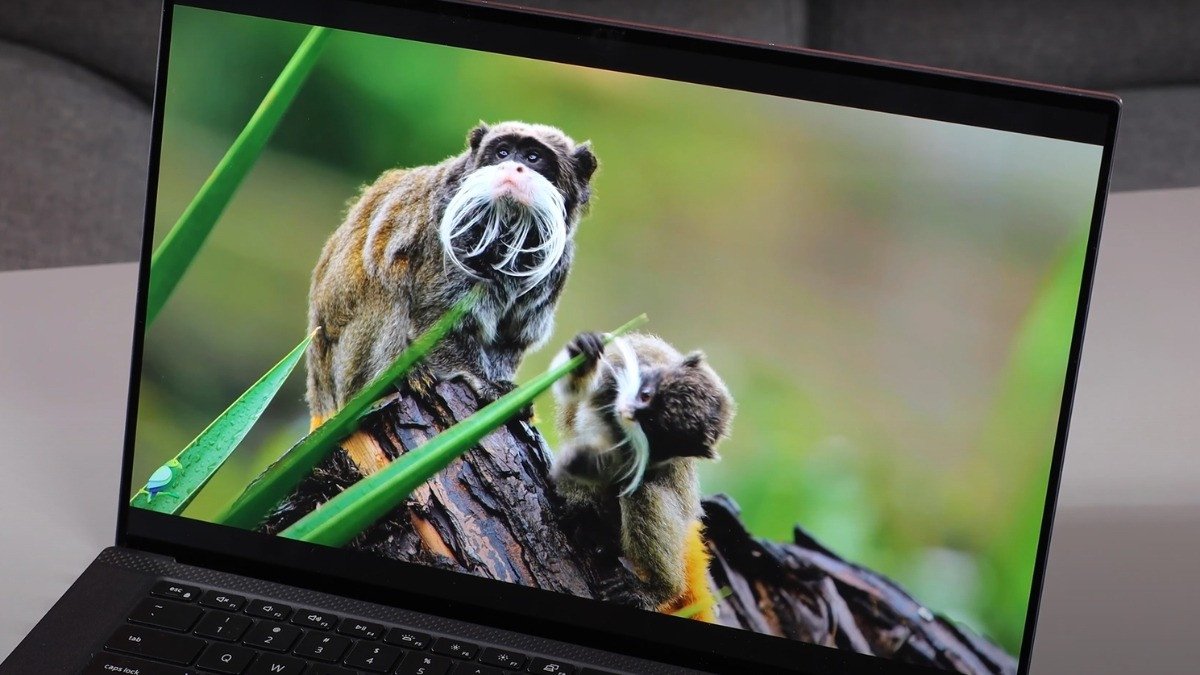 Dell XPS 9520 cho sinh viên ngành đồ họa