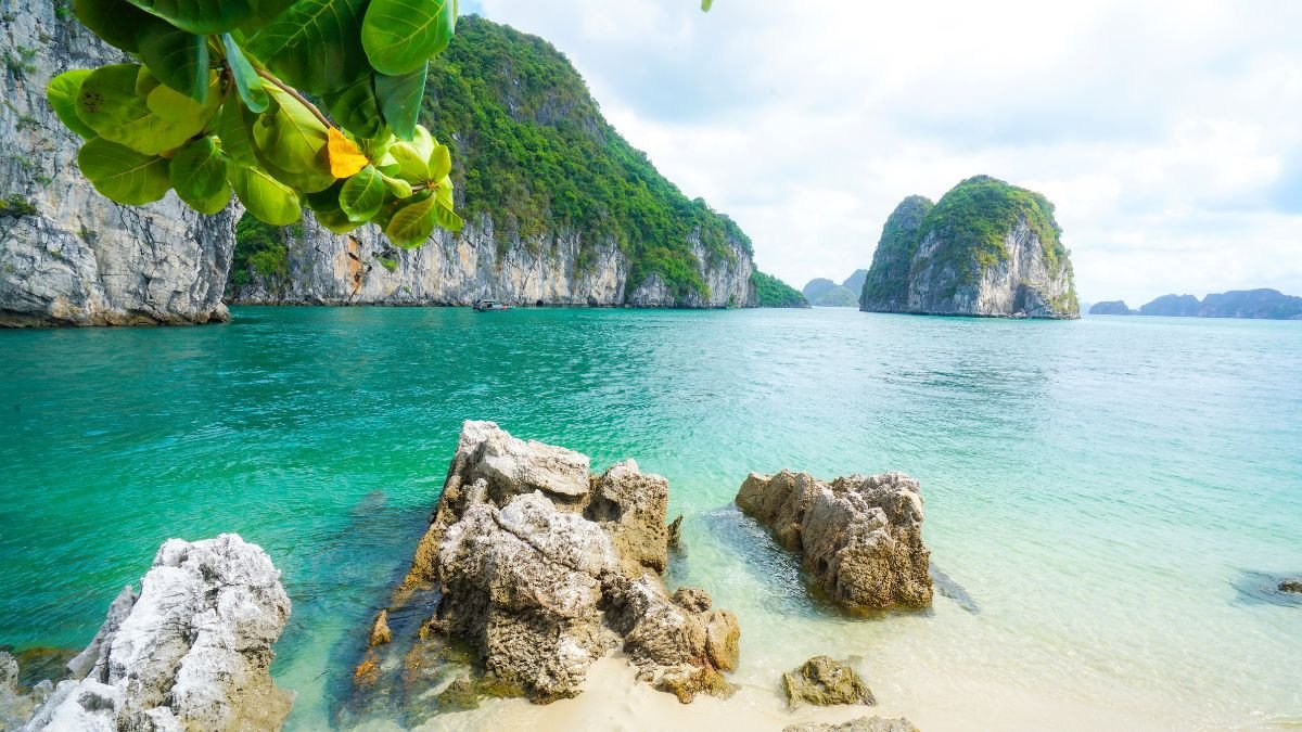 Dòng sông êm đềm chảy qua cảnh quan xanh tươi, một hình nền thiên nhiên 4k tuyệt đẹp