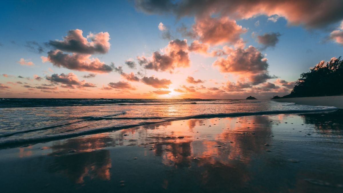 Dòng suối trong vắt chảy qua khu rừng rậm, một hình nền động đẹp cho laptop