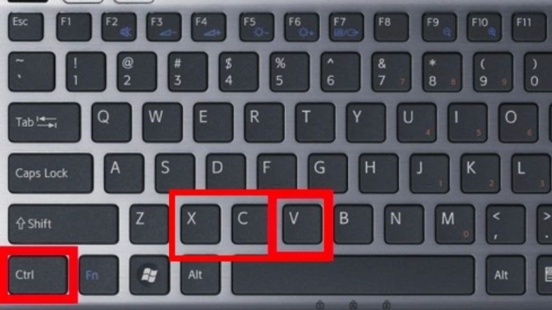 Dùng tổ hợp phím Ctrl, X, C, V để sao chép văn bản trên laptop Windows