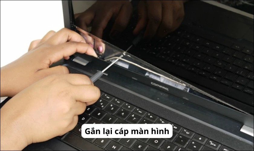 Gắn lại cáp màn hình laptop đúng chuẩn nếu bị lỏng nhẹ