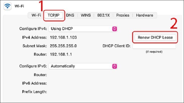 Giao diện cài đặt TCP/IP trên MacBook với nút Renew DHCP Lease, hữu ích khi MacBook không bắt được WiFi