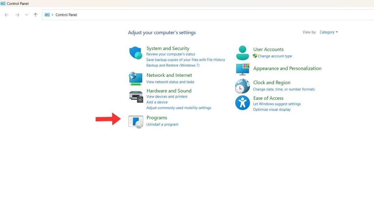 Giao diện Control Panel của Windows, nhấn vào mục Programs để kiểm tra ứng dụng