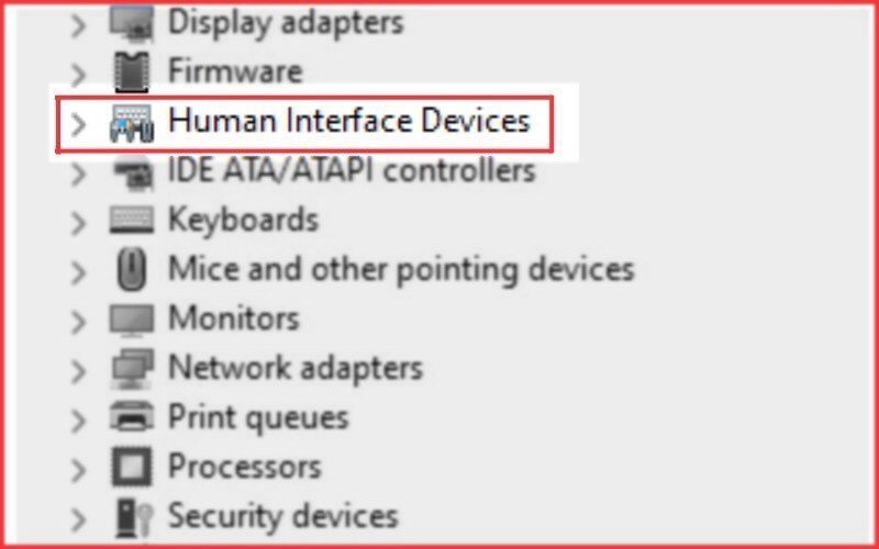 Giao diện Device Manager với Human Interface Devices được mở rộng