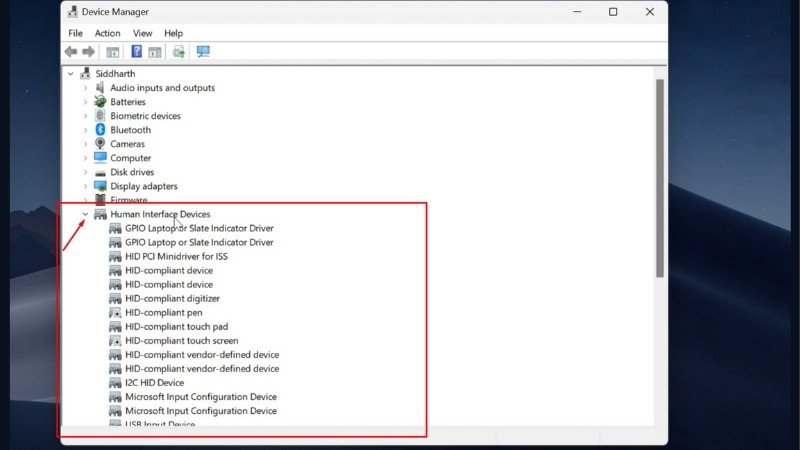 Giao diện Human Interface Devices trong Device Manager