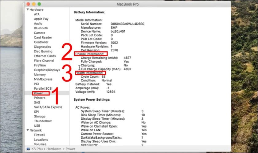 Giao diện System Report hiển thị tình trạng pin