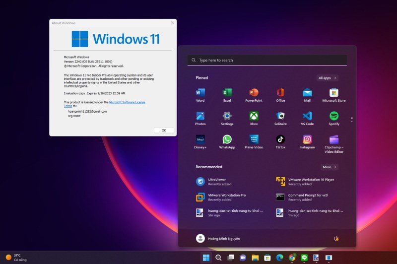 Giao diện thiết lập Windows 11 với biểu tượng mạng, minh họa việc cài laptop bỏ qua wifi dễ dàng.