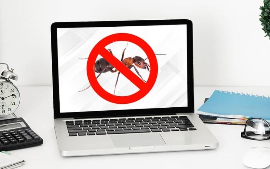 Hình ảnh đàn kiến nhỏ bò gần bàn phím laptop, cảnh báo nguy cơ kiến bò vào laptop có sao không