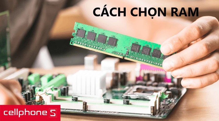 Hình ảnh kỹ thuật viên đang lắp đặt hoặc kiểm tra RAM vào khe cắm trên bo mạch laptop