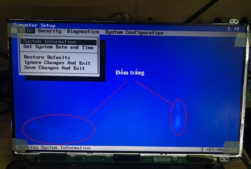 Hình ảnh minh họa màn hình laptop bị chấm trắng nhỏ rõ nét