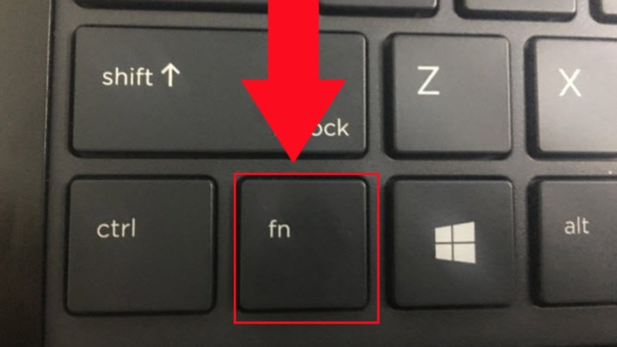 Hình ảnh minh họa phím Fn trên bàn phím laptop HP